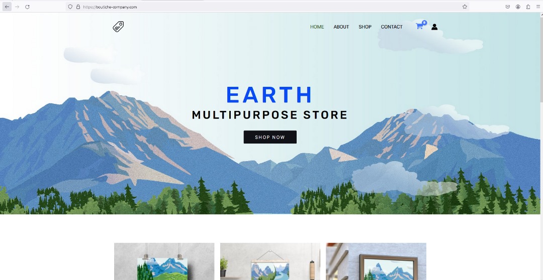 E-commerce website (wordpress)